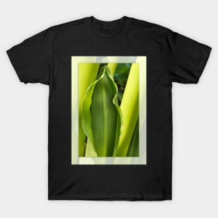 Spring Leaf T-Shirt